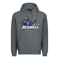 Rock lone star brahmas Premium Hoodie - artisFamous