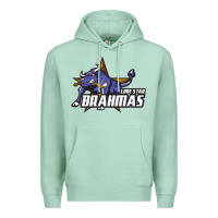 Seafoam lone star brahmas Premium Hoodie - artisFamous