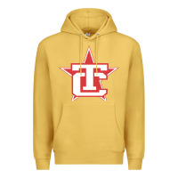 Antique Gold Traverse City North Stars Premium Hoodie - artisFamous