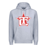 Heather Grey Traverse City North Stars Premium Hoodie - artisFamous