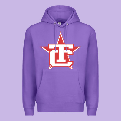 Traverse City North Stars Premium Hoodie Designed By Artisfamous