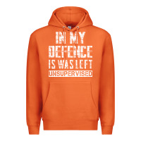 Carrot in my defence i was left unsupervised Premium Hoodie - artisFamous