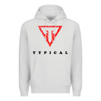 Dove Grey typical gamer Premium Hoodie - artisFamous