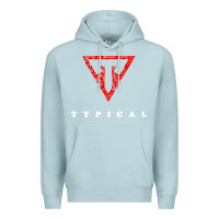 Blue Mist typical gamer Premium Hoodie - artisFamous