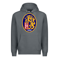 Rock leones del caracas Premium Hoodie - artisFamous