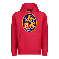 Cardinal leones del caracas Premium Hoodie - artisFamous
