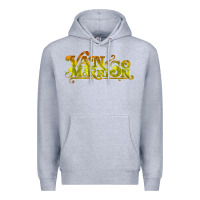Heather Grey Van Morrison Music Premium Hoodie - artisFamous