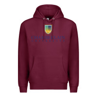 Burgundy Chamberlain College Nursing Premium Hoodie - artisFamous