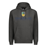 Charcoal Heather Chamberlain College Nursing Premium Hoodie - artisFamous