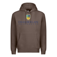 Coffee Chamberlain College Nursing Premium Hoodie - artisFamous