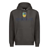 Smoke Chamberlain College Nursing Premium Hoodie - artisFamous