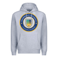 Heather Grey Chamberlain Art Premium Hoodie - artisFamous