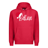 Cardinal christmas Premium Hoodie - artisFamous