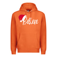 Carrot christmas Premium Hoodie - artisFamous