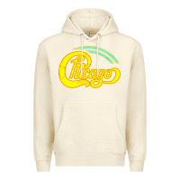Sandshell Best Chicago Premium Hoodie - artisFamous