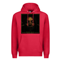 Cardinal brandi carlile  by the way,i forgive you Premium Hoodie - artisFamous