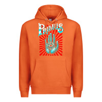 Carrot Premium Collection Design Premium Hoodie - artisFamous