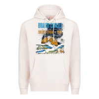 Pale Pink Brandi Carlile Poster Premium Hoodie - artisFamous