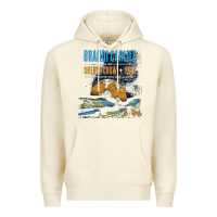 Sandshell Brandi Carlile Poster Premium Hoodie - artisFamous