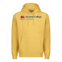 Antique Gold Imperial Art Premium Hoodie - artisFamous