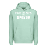 Seafoam i'm awesome i'm a supervisor Premium Hoodie - artisFamous