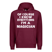 Burgundy i know everything i'm a magician Premium Hoodie - artisFamous