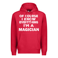 Cardinal i know everything i'm a magician Premium Hoodie - artisFamous