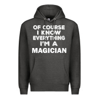 Charcoal Heather i know everything i'm a magician Premium Hoodie - artisFamous