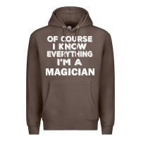 Coffee i know everything i'm a magician Premium Hoodie - artisFamous