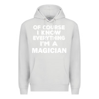 Dove Grey i know everything i'm a magician Premium Hoodie - artisFamous