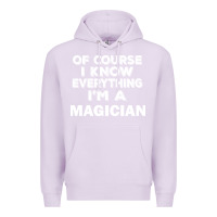 Lilac i know everything i'm a magician Premium Hoodie - artisFamous