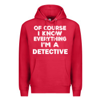 Cardinal i know everything i'm a detective Premium Hoodie - artisFamous