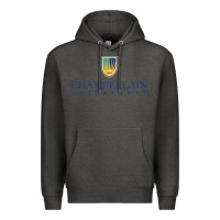 Charcoal Heather Chamberlain College Premium Hoodie - artisFamous
