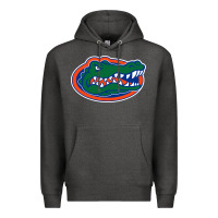 Charcoal Heather gators gator Premium Hoodie - artisFamous