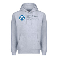 Heather Grey National Louis College Premium Hoodie - artisFamous