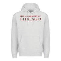 Dove Grey College of Chicago Premium Hoodie - artisFamous