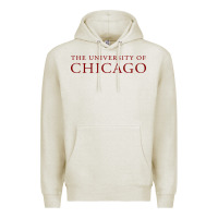 Oatmeal Heather College of Chicago Premium Hoodie - artisFamous