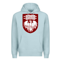 Blue Mist College of Chicago Premium Hoodie - artisFamous