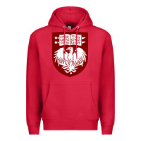 Cardinal College of Chicago Premium Hoodie - artisFamous