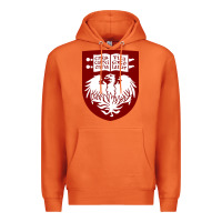 Carrot College of Chicago Premium Hoodie - artisFamous