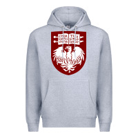 Heather Grey College of Chicago Premium Hoodie - artisFamous