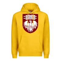 Lemon College of Chicago Premium Hoodie - artisFamous