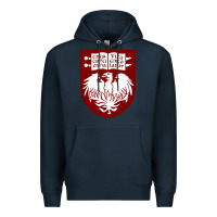 Navy College of Chicago Premium Hoodie - artisFamous