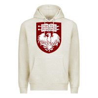 Oatmeal Heather College of Chicago Premium Hoodie - artisFamous