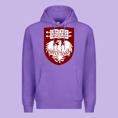 College Of Chicago Premium Hoodie Designed By Artisfamous