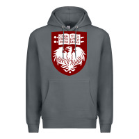 Rock College of Chicago Premium Hoodie - artisFamous