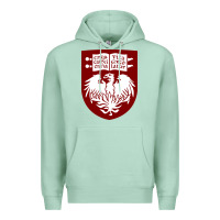 Seafoam College of Chicago Premium Hoodie - artisFamous
