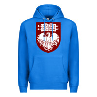 True Royal College of Chicago Premium Hoodie - artisFamous