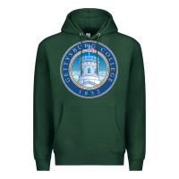 Sports Green gettysburg college Premium Hoodie - artisFamous