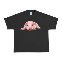 Pigment Black baby pig Urban Heavy Tee - RanaPortraitStore